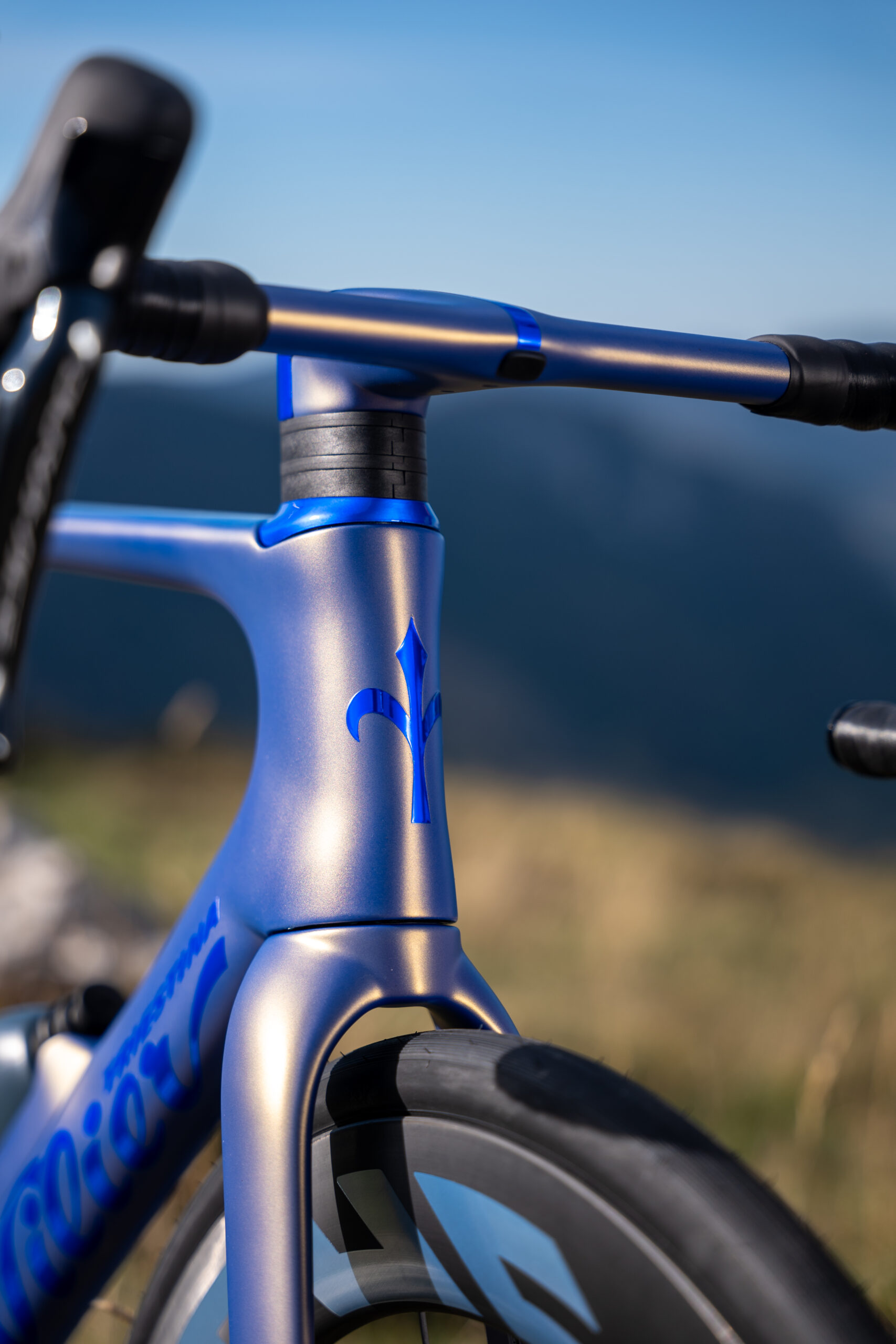 wilier-13