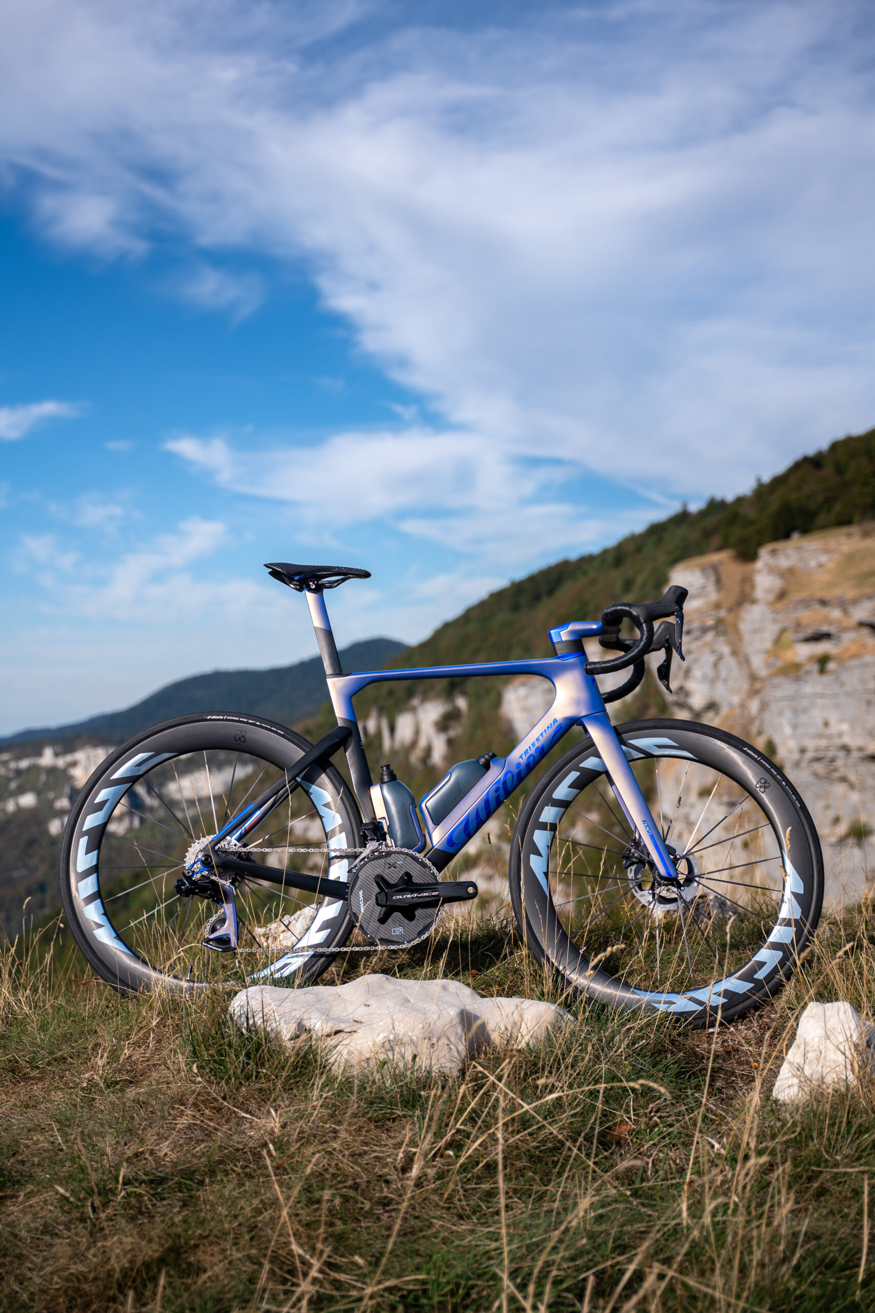 wilier-16